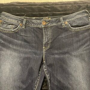 SILVER-Aiko Women's Blue Jeans. 22W/33L